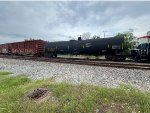 NATX 252479